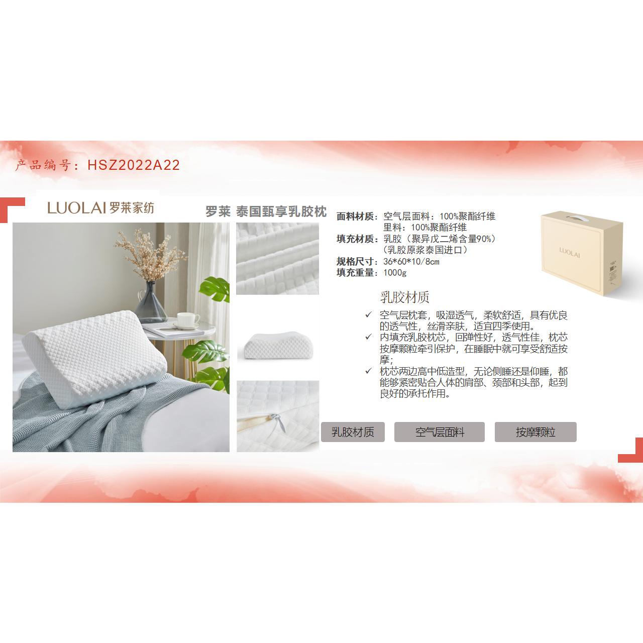 编号：HSZ2002B22
