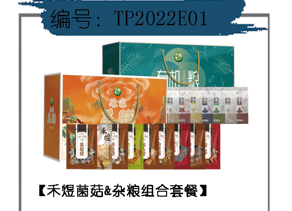 TP2022E01