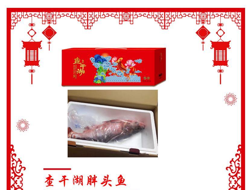 ZKY2023NZ11