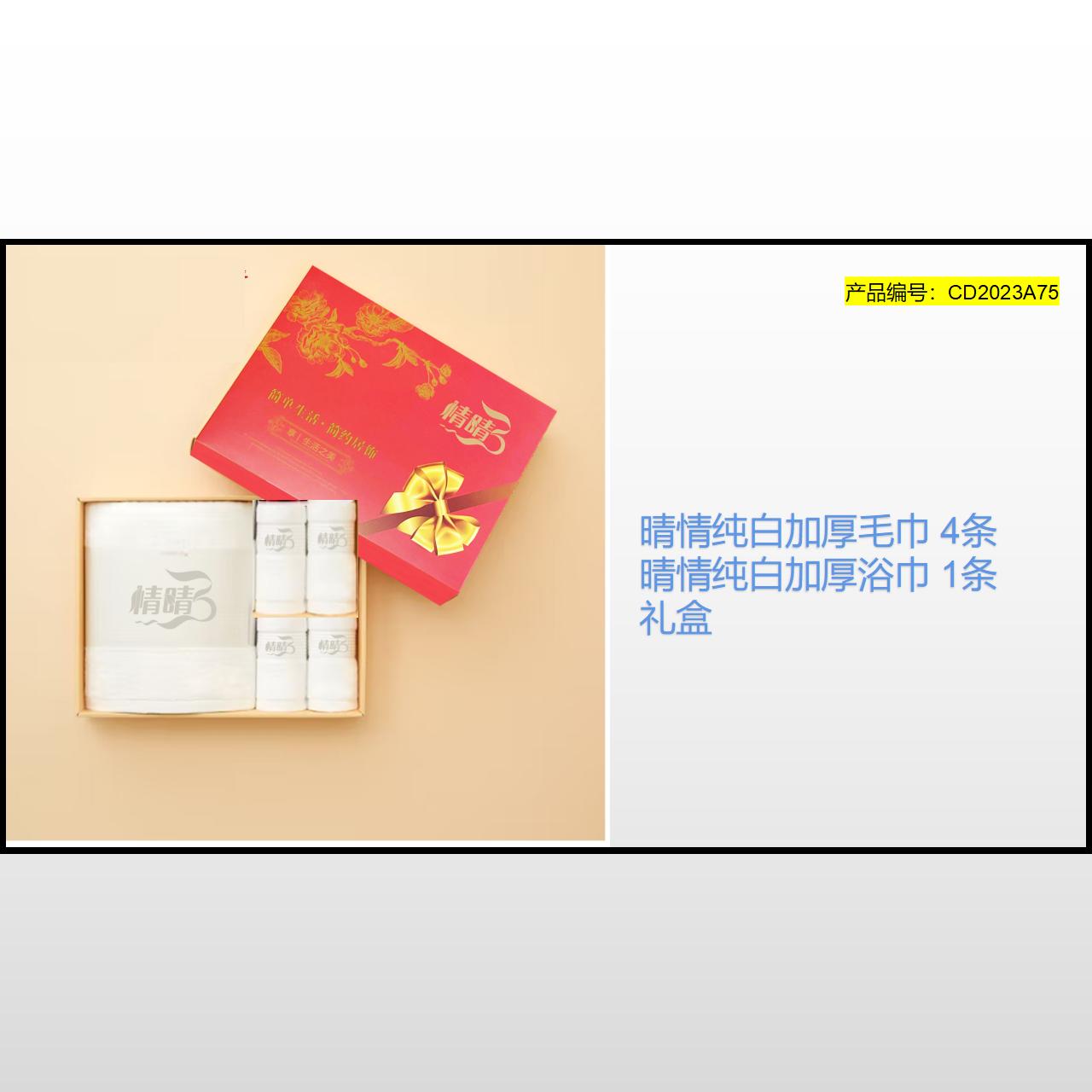 CD2023A75