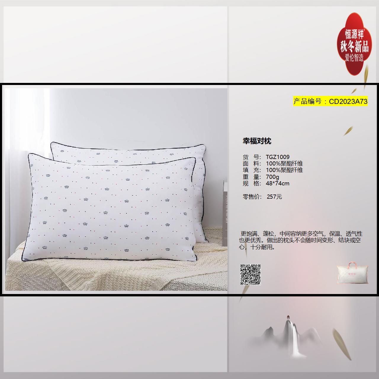 CD2023A73